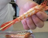 エビのおろし和え　レモン風味作り方4写真