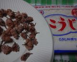 桜の簡単甘塩麹作り方1写真