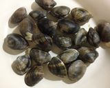筍とアサリのうどん作り方1写真