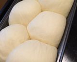 もっちり豆乳パン（ＨＢで一次発酵まで）作り方9写真