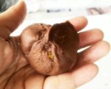 美味し～ふわふわココアチョコちぎりパン作り方13写真