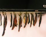 魚のみりん干し覚書作り方3写真