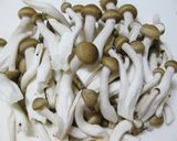 超簡単！ホットプレートde蒸し豚しゃぶ作り方4写真