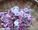 農園レシピ・さくらの花の塩漬けつくろ♪作り方1写真