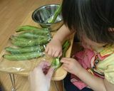 彩り鮮やか☆空豆とカボチャの洋風煮物作り方1写真