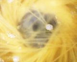 簡単!本格!濃厚!男のナポリタン!作り方18写真