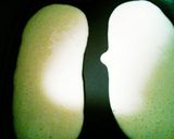 みんなでワイワイ♬何でも巻き巻き◎作り方4写真