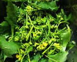 春の旬の菜の花とベーコンのパスタ作り方2写真