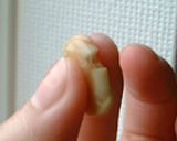 手作り味噌で手前味噌にゃ♪作り方4写真