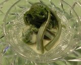 コゴミの昆布茶入りマヨネーズかけ簡単作り方7写真