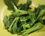 稲荷にタラノメふきのとうコシアブラうこぎ作り方3写真