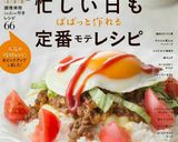 ベトナム風生春巻き作り方8写真