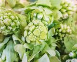 お日さまいっぱい☆ふきのとう味噌作り方1写真