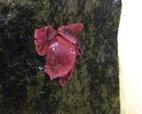 とよ婆ちゃんのまるまる花むすび作り方4写真