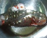なまこ酢の物作り方3写真