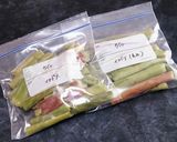 春の味☆イタドリと豚肉の炒めもの作り方9写真