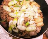 味付け簡単！絶対失敗しない肉豆腐♡*.作り方4写真