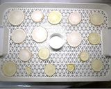 干し大根の作り方（食品、野菜乾燥機）作り方4写真