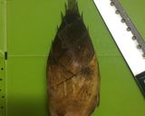 たけのこの下ゆで(あく抜き)作り方1写真