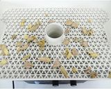 乾燥生姜の作り方（食品乾燥機で干し生姜）作り方5写真