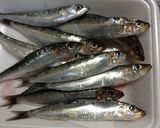 油少なっ！かんたんecoオイルサーディン作り方1写真