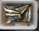 油少なっ！かんたんecoオイルサーディン作り方4写真