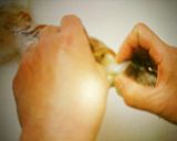 イカとキャベツのバター生姜醤油炒め作り方1写真
