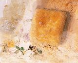 簡単！お弁当おかずに！キリフライ作り方1写真