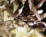 タケノコとマイタケの中華醤油炒め作り方6写真