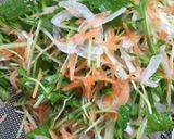 新玉ねぎサラダのお野菜巻き巻き焼きしゃぶ作り方4写真