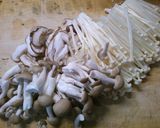 筍　もやし　きのこの　ピリ辛中華煮込み♪作り方1写真
