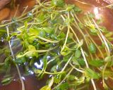 豆苗のスープ♪作り方6写真