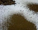 ほうじ茶風味のミニシフォンケーキ作り方1写真