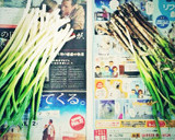 簡単カット野菜 長ねぎの冷凍食品保存作り方1写真