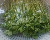 豆苗のニンニク炒め作り方3写真