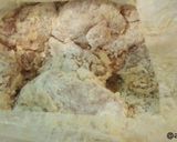 鳥むね肉なのにジューシーから揚げ作り方6写真