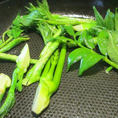 タラの芽1㌔以上になります タラノメ｜楤芽 | 大鳥てんご