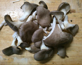 簡単　霜降りひらたけと　卵の　中華スープ作り方1写真