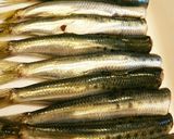 10分で骨まで食べる！鰯のさっぱり煮作り方1写真