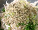 簡単☆美味しい！カブナムル作り方3写真