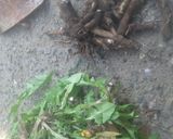 たんぽぽコーヒー作り方2写真