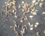 たんぽぽコーヒー作り方3写真