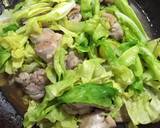 鶏肉とキャベツの土佐酢炒め作り方5写真