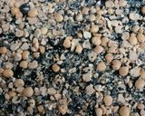 コーヒー代わりに✿簡単♪ほっこり黒豆茶作り方5写真