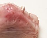 ♧cookpad発?鶏の尾っぽの甘ぷり煮作り方1写真