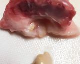 ♧cookpad発?鶏の尾っぽの甘ぷり煮作り方4写真