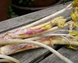山菜の王様♪うどの酢味噌あえ作り方1写真