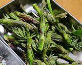 ウドの冷凍‥天ぷら作り方1写真