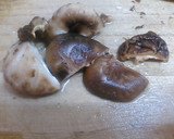 厚揚げ、大根としいたけの煮物作り方5写真