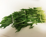 簡単！新玉ねぎとささ身のマヨわさ和え作り方5写真